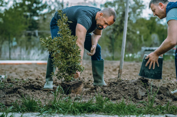 Best Seasonal Cleanup (Spring/Fall)  in Grand Point, LA